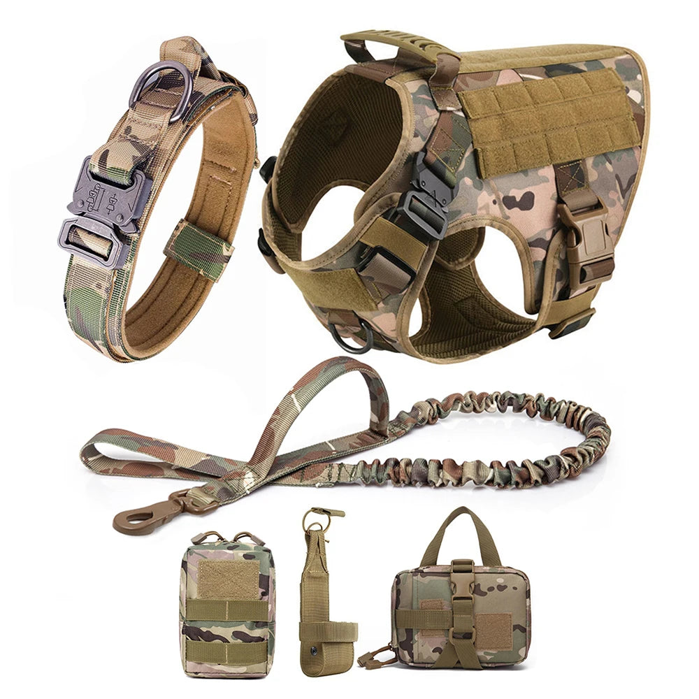 Large Dog Harness And Leash Set