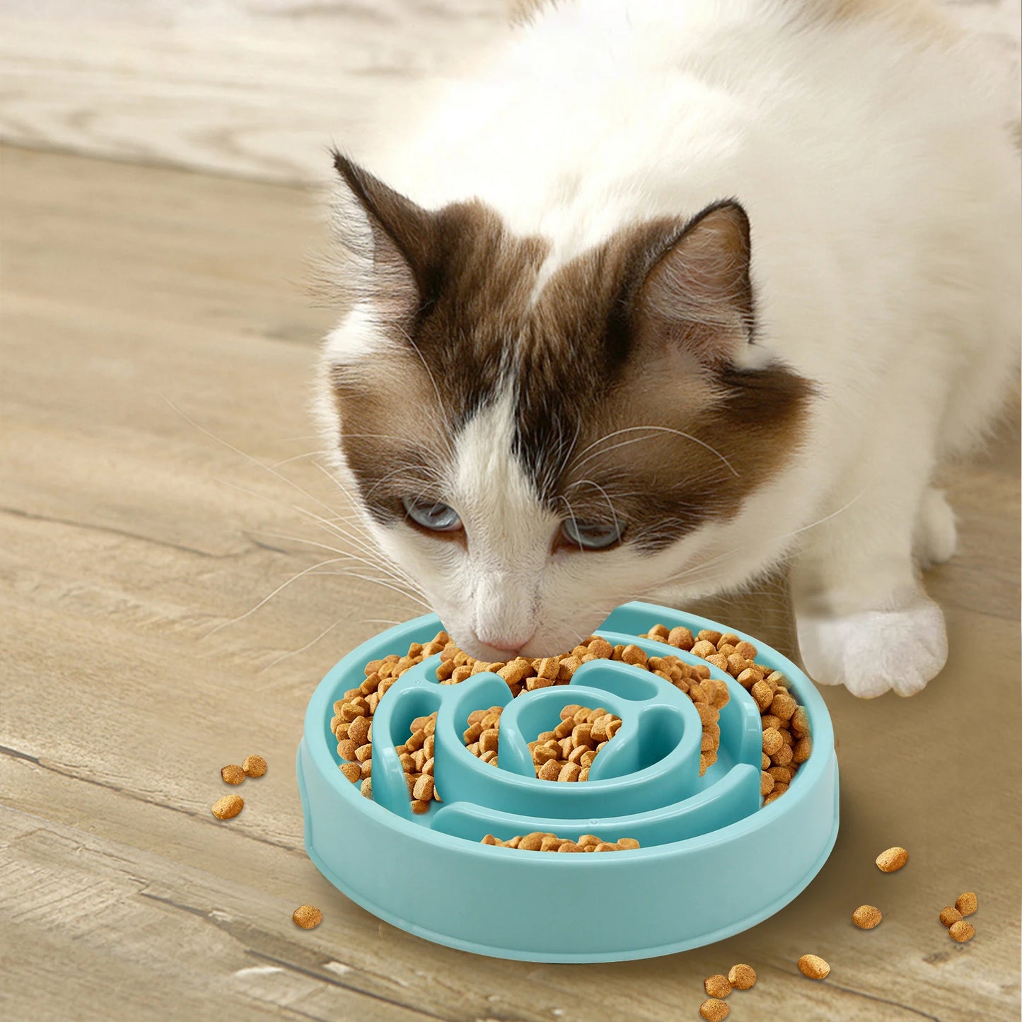 Pet Slow Feeder Bowl