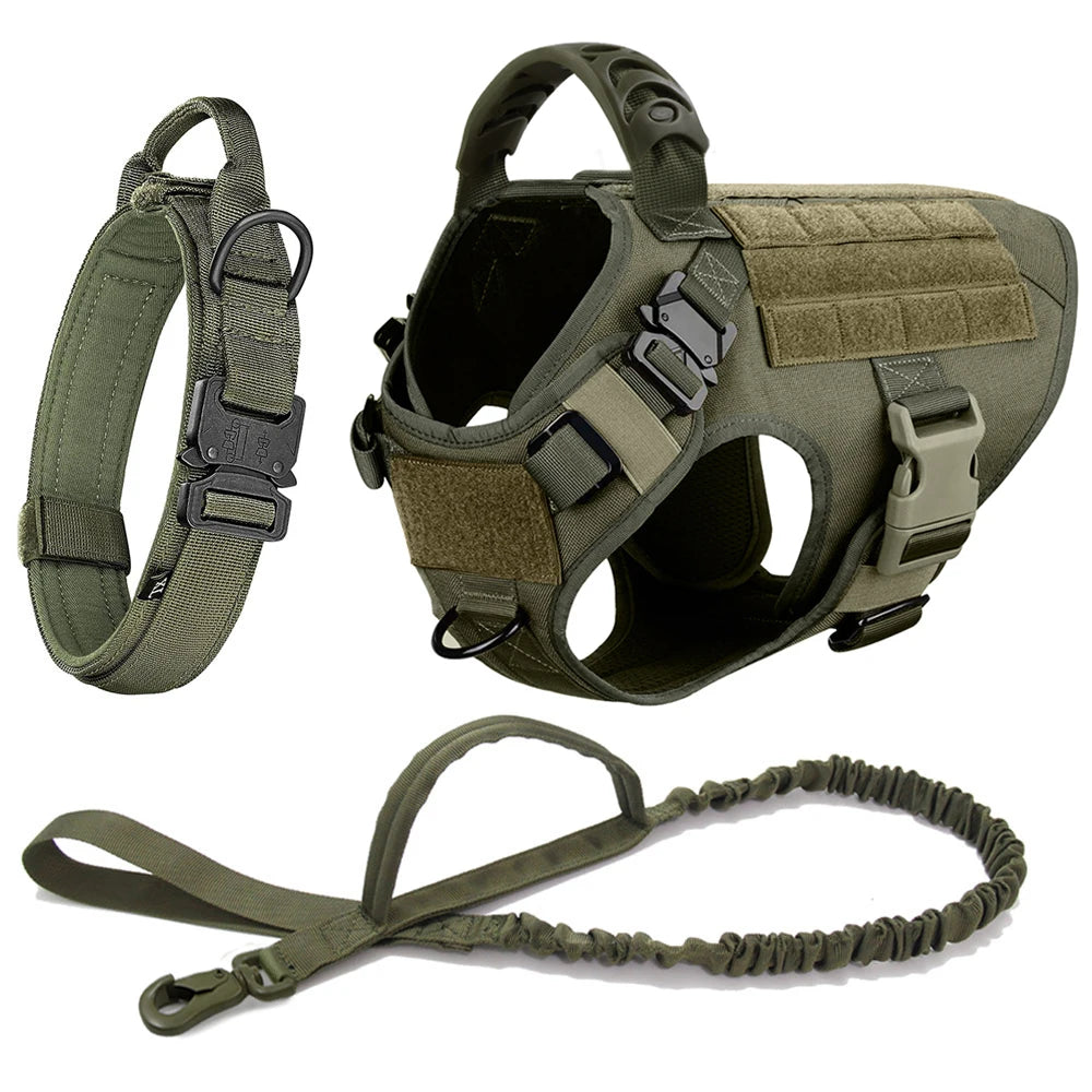 Large Dog Harness And Leash Set